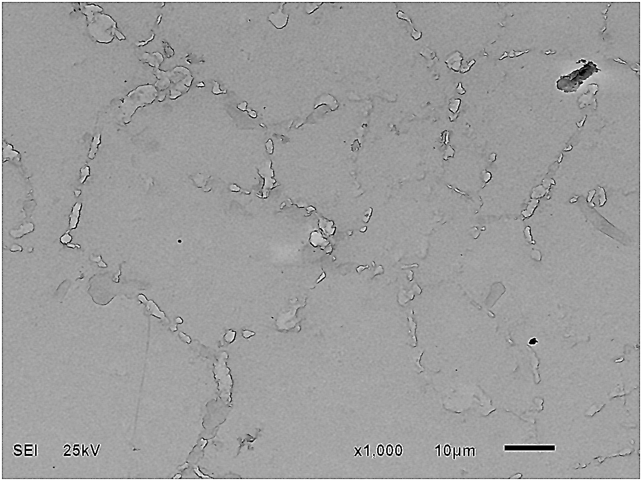 Incoloy 800HT pigtail